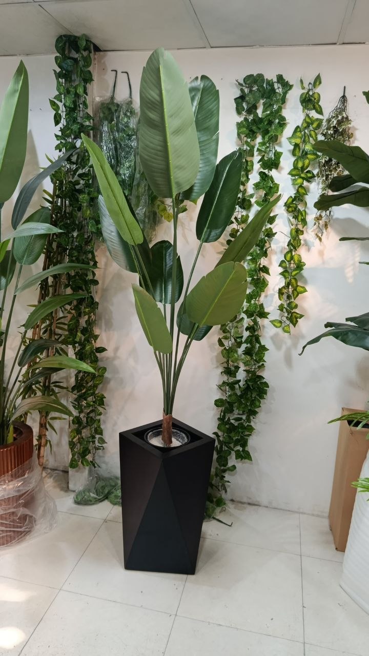 درختچه پرنده بهشتی ۱۰ برگ